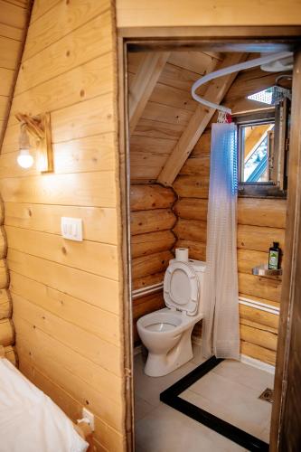 a bathroom with a toilet in a log cabin at Etno selo Pivska Vila in Nedajno
