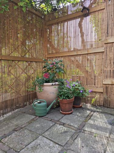 Zahrada ubytování B&B de Gouwe Tijd, suite "Gouden Ginkgo"