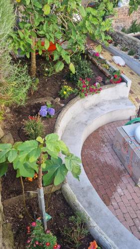 a garden with flowers and a brick walkway at Comfortable rustic house with spacious garden near the beach in Figueira da Foz