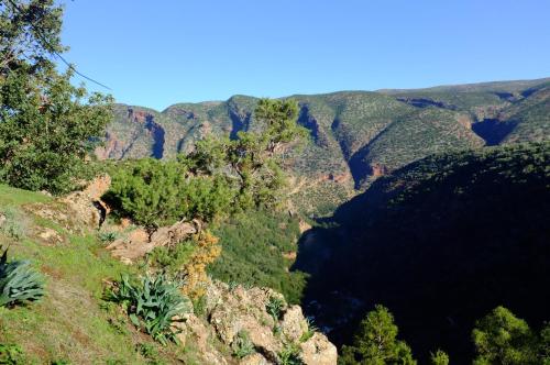 a view of a canyon with trees and rocks at Riad Cascades d'Ouzoud in Ouzoud