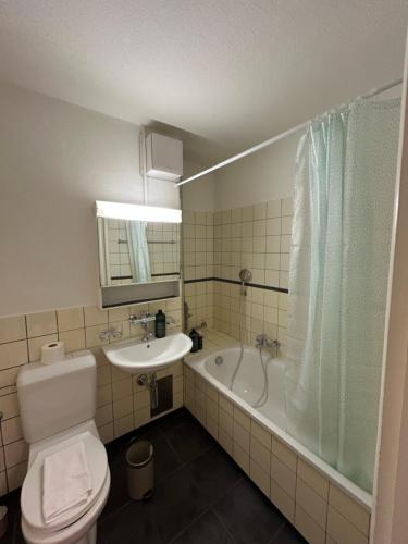 Ένα μπάνιο στο Plain & Practical Zurich Apartment