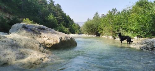 Φυσικό τοπίο κοντά σε αυτή η παραθεριστική κατοικία
