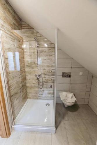 ein Badezimmer mit Dusche und Toilette in der Unterkunft APARTMA Viktor in Ormoz