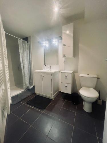 a bathroom with a toilet and a sink at Escapade au canal in Castelsarrasin