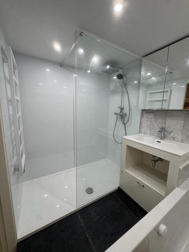 a white bathroom with a shower and a sink at Herengracht 204 Souterrain Studio Apt without kitchen in Amsterdam