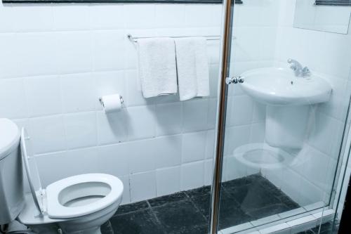 a bathroom with a shower and a toilet and a sink at Vetho 1 Apartments OR Tambo Airport in Johannesburg