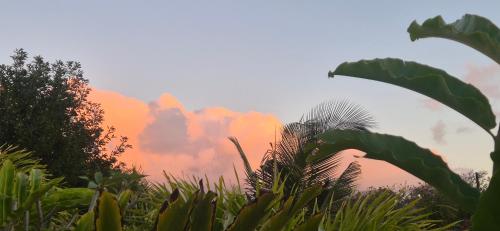 a view of the clouds in the sky with plants at La Kazatany in Calodyne