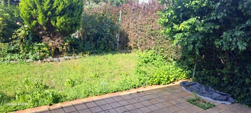 Un jardín fuera de mignon
