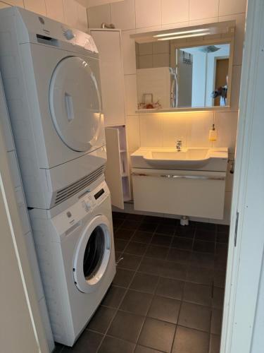 a bathroom with a washing machine and a sink at Exklusivt boende i Örnsköldsvik in Örnsköldsvik