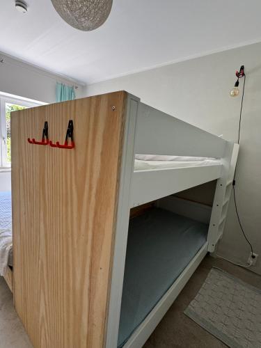 a bunk bed with ajar door in a room at Ferienwohnung DREI Hof Himmelgrün in Saal