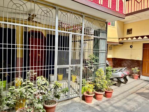 a cage full of plants on the side of a building at Hotel Atharv in Varanasi