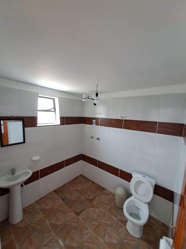a bathroom with a toilet and a sink at Palacio del Inca Lodge Isla del Sol in Comunidad Yumani