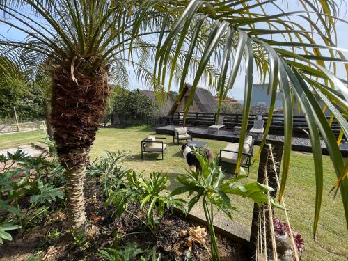 a bird is standing next to a palm tree at Pousada Rosamar in Praia do Rosa