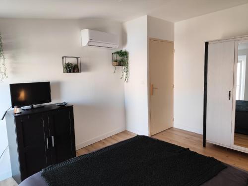 a living room with a television and a black rug at Maison En Centre Ville in Saint-Saturnin-lès-Avignon