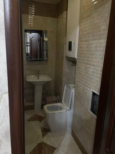 Vonios kambarys apgyvendinimo įstaigoje Apartment