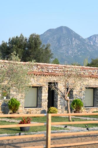 a stone building with a mountain in the background at Me Ra, Mrizi Zanave in Fishtë