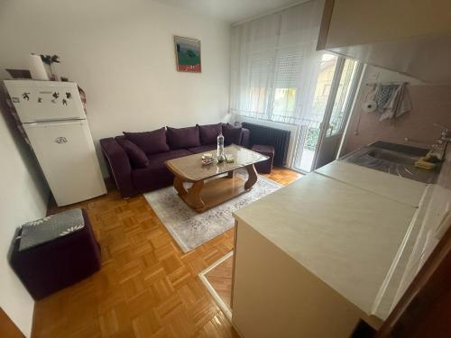 a kitchen and living room with a couch and a table at Apartments Villa Sena in Sarajevo
