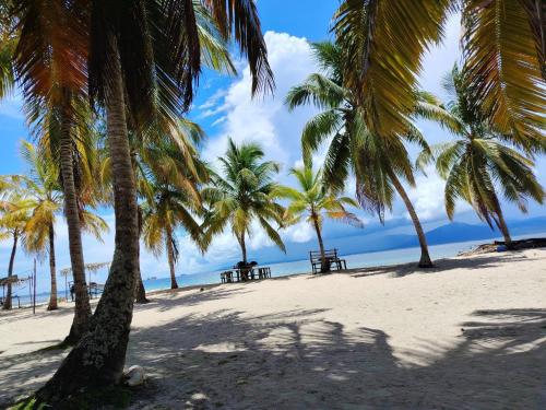 a group of palm trees on a sandy beach at Guna-Yala travel Panamá in Achoertupo
