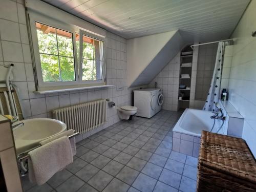 Ένα μπάνιο στο Ferienhaus am alten Steinbruch