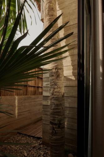 a palm tree in front of a wooden wall at Punta Tamarindo in Puerto Escondido