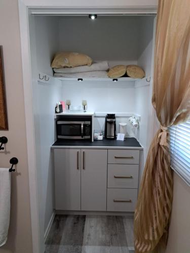 a small kitchen with a microwave on a counter at Carrousel Bed & Breakfast in Cayuga