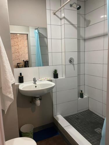 约翰内斯堡StayEasy in Maboneng的带水槽和淋浴的浴室