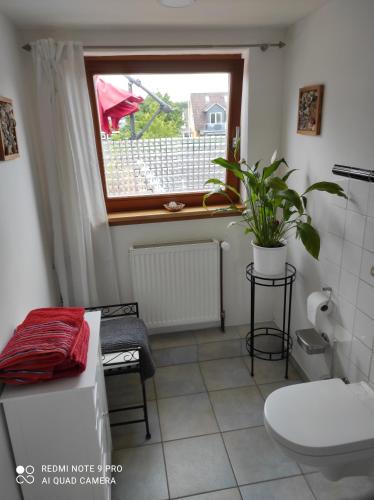 ein Bad mit einem WC, einem Fenster und einer Pflanze in der Unterkunft Haus Sonnenschein in Heikendorf