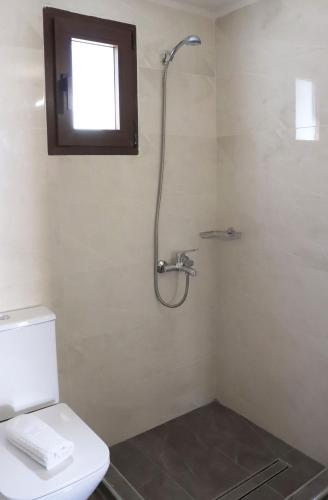 a bathroom with a shower and a toilet at Stv Royal Appartments in Areopolis