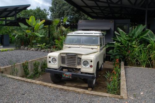 Jardín al aire libre en Rolling Green Oasis