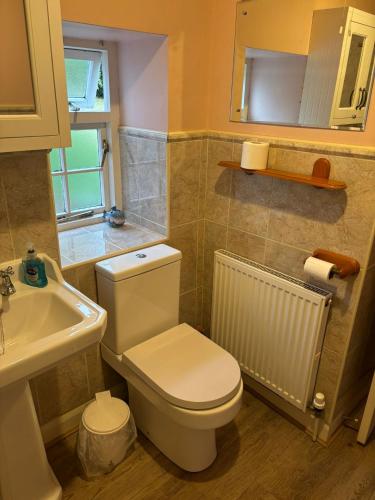 a bathroom with a white toilet and a sink at Willow Cottage in Settrington