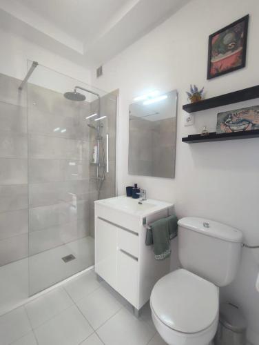 a bathroom with a toilet and a sink and a shower at Acera del Duende-Sardina in Gáldar