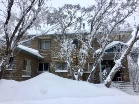 a house with snow covered trees in front of it at Reindeer 6 AMS Mt Buller in Mount Buller