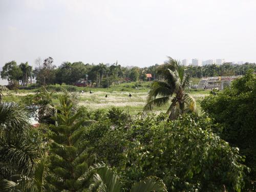 a field with palm trees and people in a field at Hoa Phat Hotel & Apartment in Ho Chi Minh City