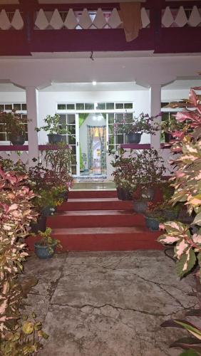 a building with red carpeted stairs with potted plants at Armand lodge in Te-Fare-Arii
