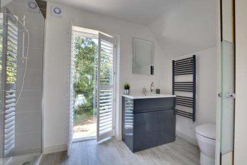 a bathroom with a sink and a toilet and a window at Beech Cottage at Fir House in Cranbrook