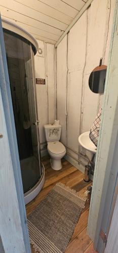 a small bathroom with a toilet and a sink at Lighthouse Benki in Užava