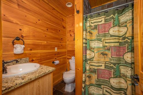 ein Badezimmer mit Toilette und Waschbecken in der Unterkunft The Great Outdoors by American Patriot Getaways in Little Cove