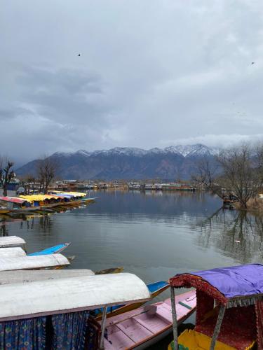 a bunch of boats sitting on the water at Lake side stays in Srinagar