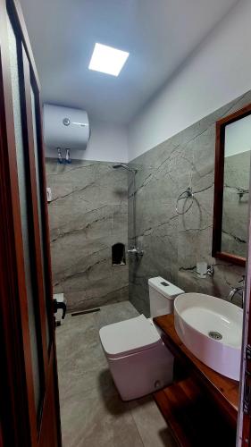 a bathroom with a toilet and a sink at Çelo's house Gjirokaster in Gjirokastër