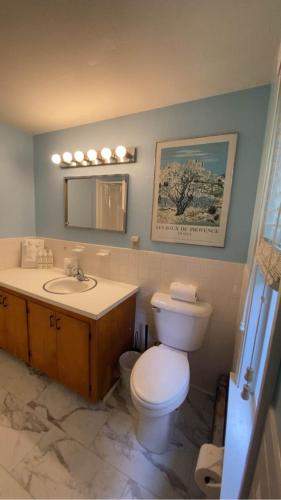 a bathroom with a toilet and a sink and a mirror at Spacious Woods Hole Beach Retreat in Falmouth