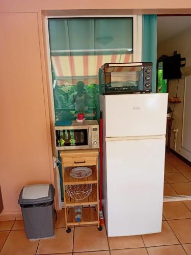 a kitchen with a refrigerator and a microwave at Studio Hibiscus in Sainte-Anne