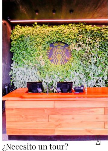 a wall covered in ivy with two laptops on a table at Hotel Poas Paradise in Alajuela City