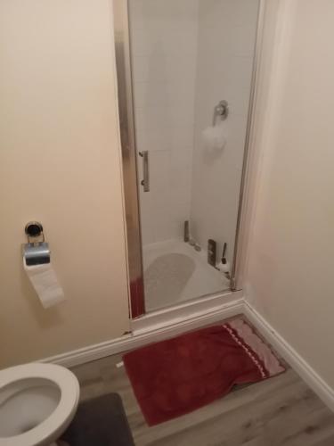 a bathroom with a toilet and a bath tub at Double room for rent in Waterford City in Waterford