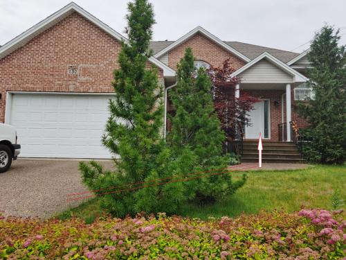 a house with a christmas tree in front of it at Full Kitchen AC Share Bathroom #2 in Halifax