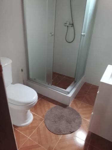 a bathroom with a toilet and a shower with a rug at Beachbungalows in Guadalupe