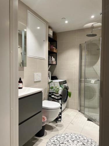 a bathroom with a toilet and a sink and a shower at Sunny apartment close to the sea in Oslo