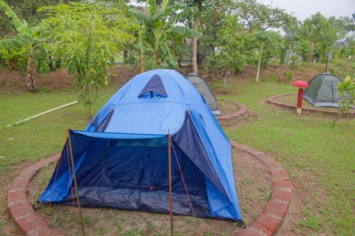 una tenda blu seduta in mezzo a un campo di Hostal Cultural El Telar a San Jacinto