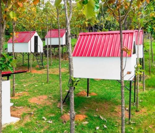 a group of houses with red roofs in trees at Hotel La Puerta Del Viento in Paicol