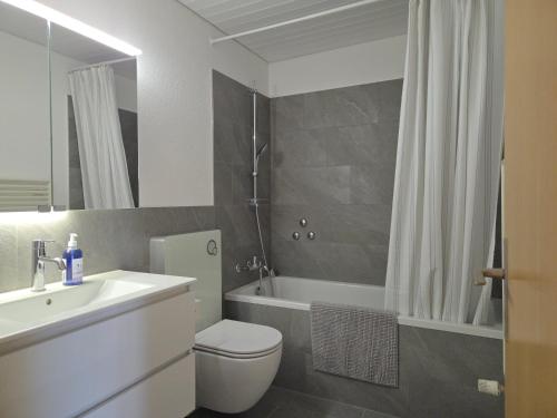 a bathroom with a toilet and a sink and a shower at Apartment for 5, close to Zurich and Luzern, free private parking in Wohlen