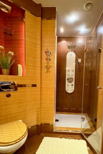 a bathroom with a shower with a toilet and a sink at Apartament Pers - przytulny, klimatyzowany, z kominkiem i bezpłatnym parkingiem in Szczawno-Zdrój